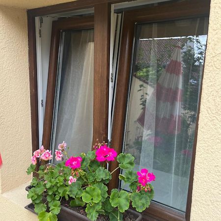 Kerti franciaágyas apartman Vác Exterior foto