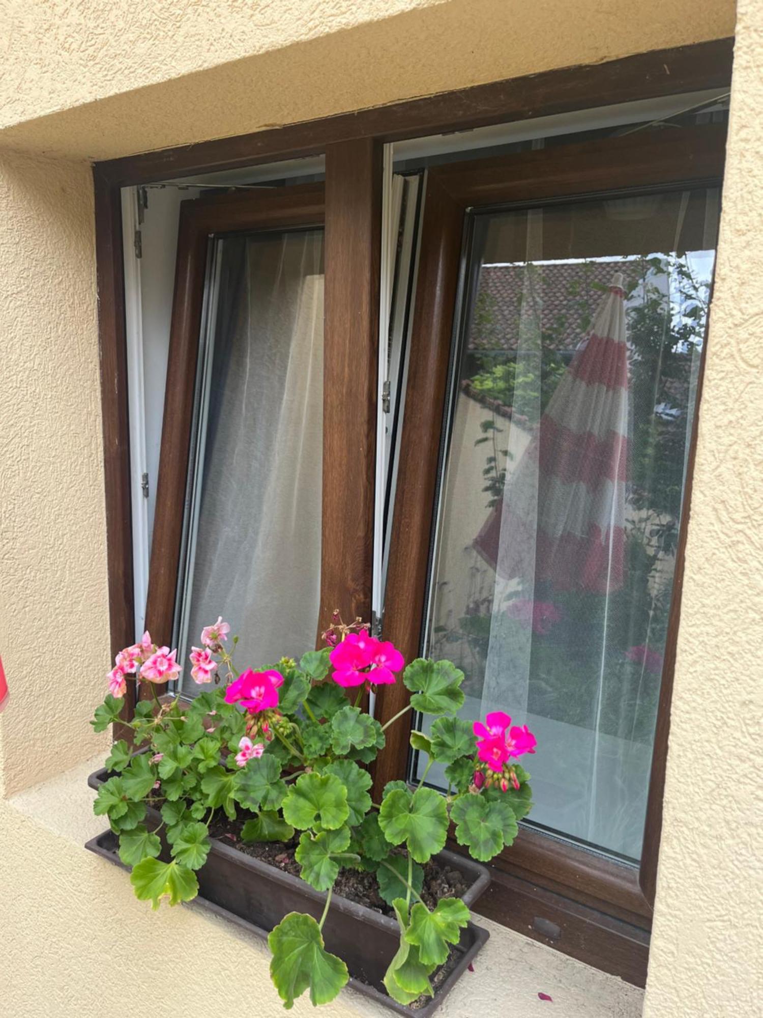 Kerti franciaágyas apartman Vác Exterior foto